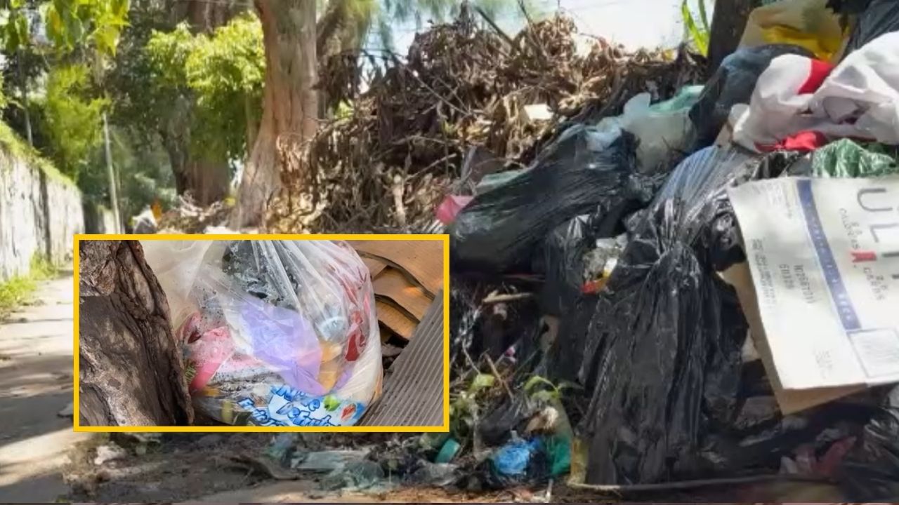 Vecinos de la colonia Monserrat denuncian acumulación de basura - Canal ...