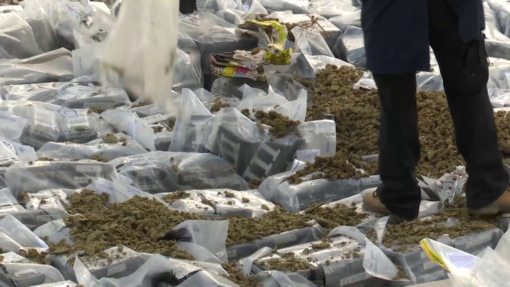 Destrucción de droga incautada - Canal 12 de El Salvador